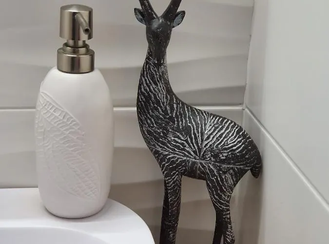 U Studiu 7 Rue Notre Dame Daire