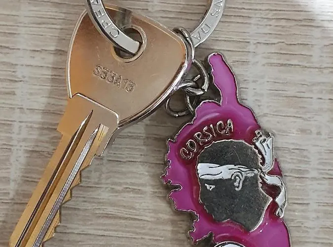 U Studiu 7 Rue Notre Dame アパート バスティア